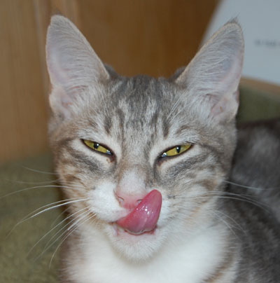 That was yummy!