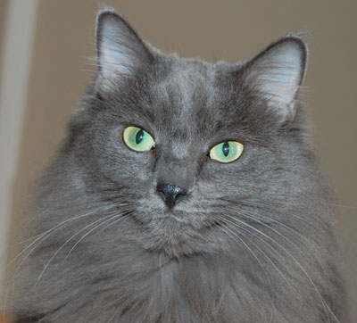 Aren't I gorgeous?