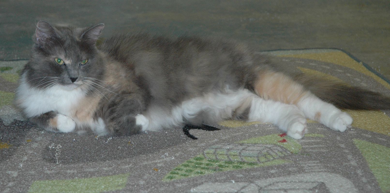I think I need another nap.