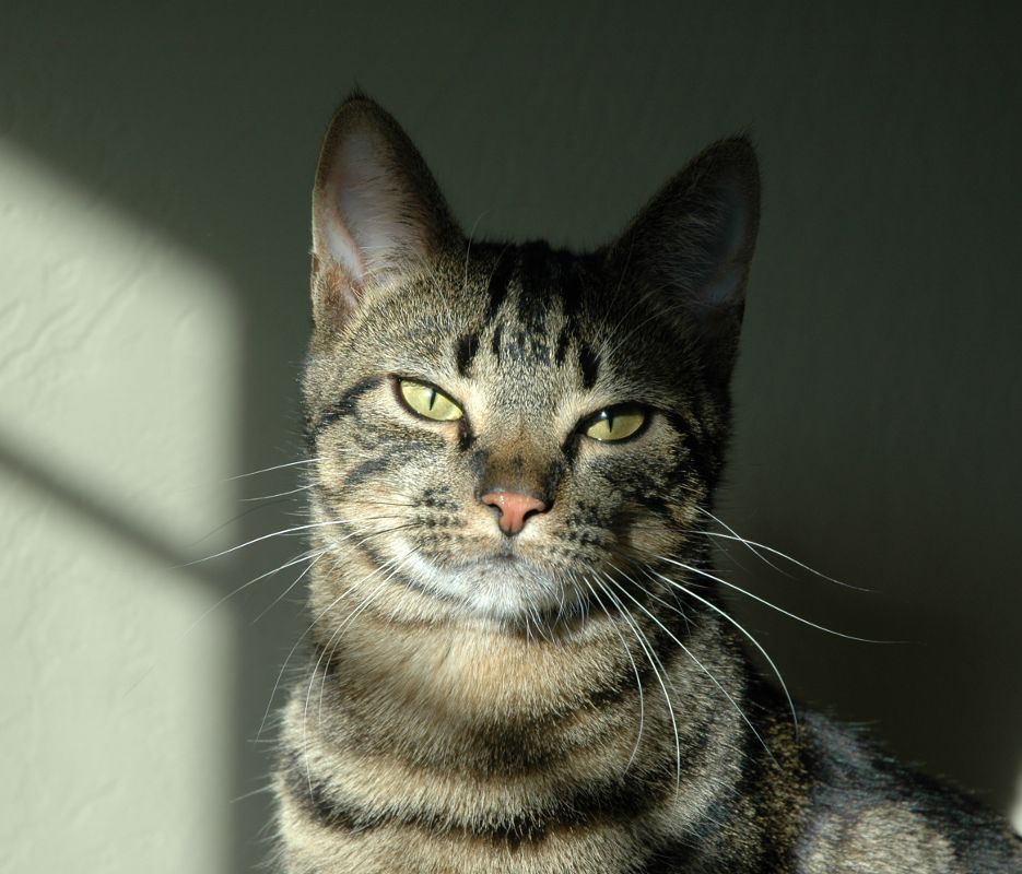 My publicity shot!