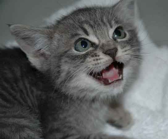 I was outspoken as a child