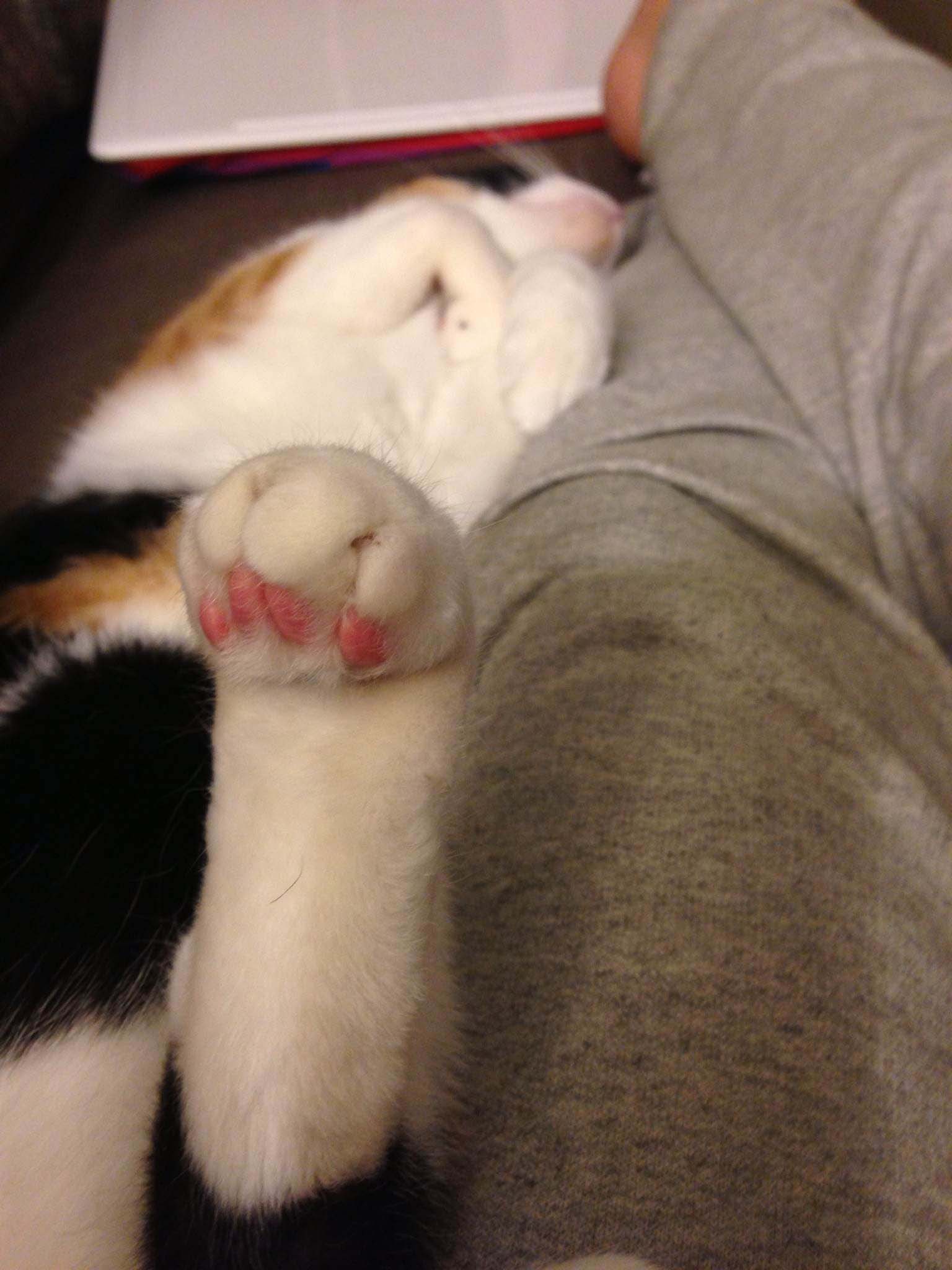 ZZZZZzzzzzzzz!