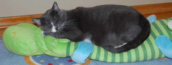 Me snoozing on my Ikea stuffed animal