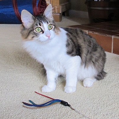 Are you heading to the kitchen?