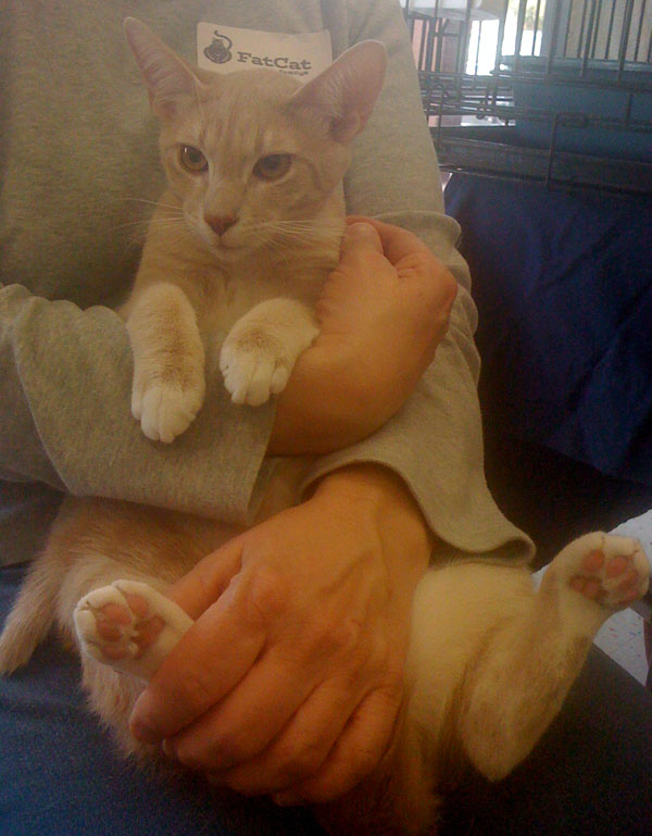 me being hugged