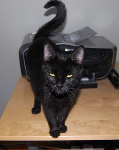 This is MY printer
