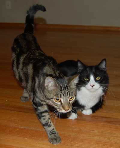 me with my brother Tartan 