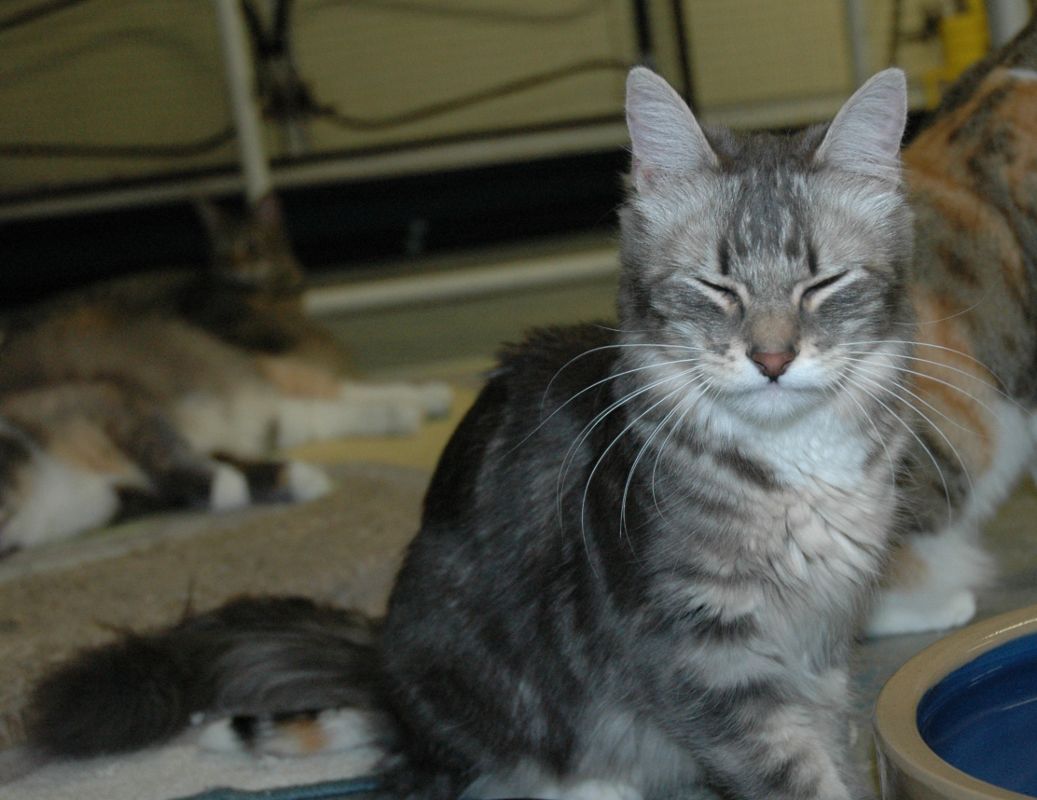 No, I'm not going to open my eyes!