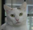 Casper