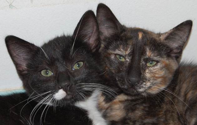 Me and my sister Mimi