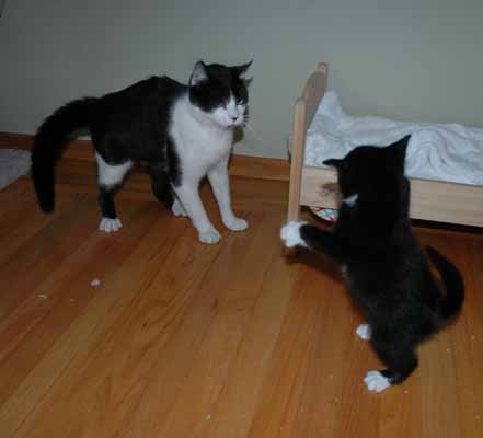 I can hold my own against Gus!