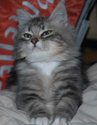 Yup, very cute!