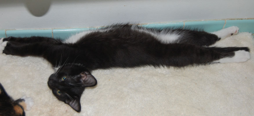 Practicing my yoga stretch