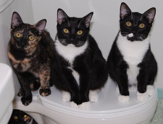 Mimi, me and Sprint