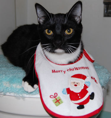 Merry Christmas!