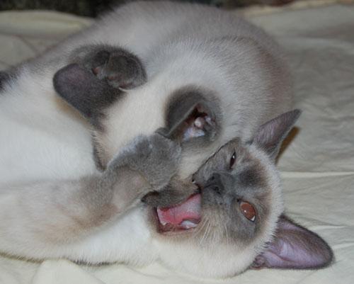 me with my sister Lizzy