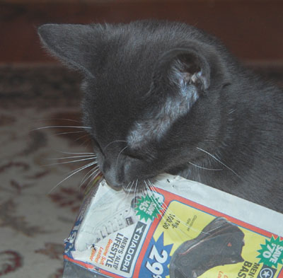 need help clipping coupons?