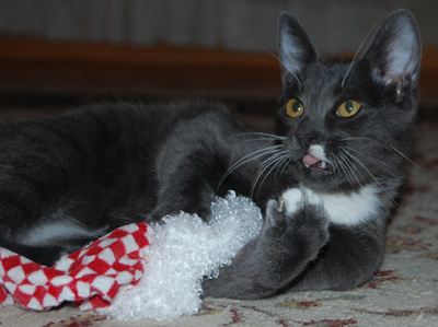 Santa's hat tastes icky
