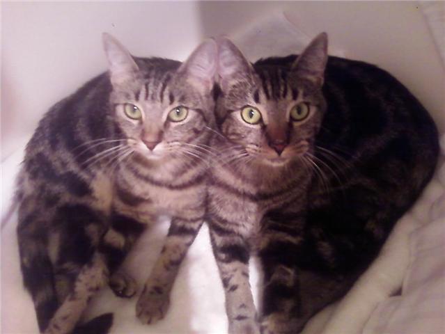 I'm on the right