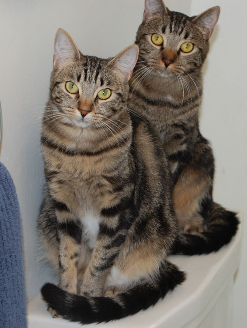 I'm on the right