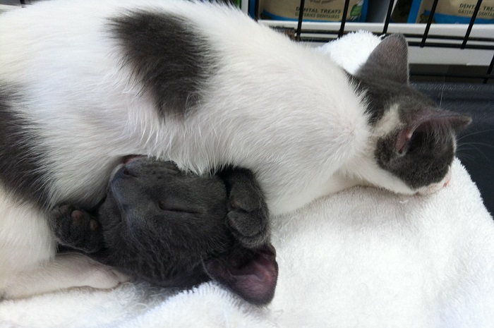 Time for a nap!