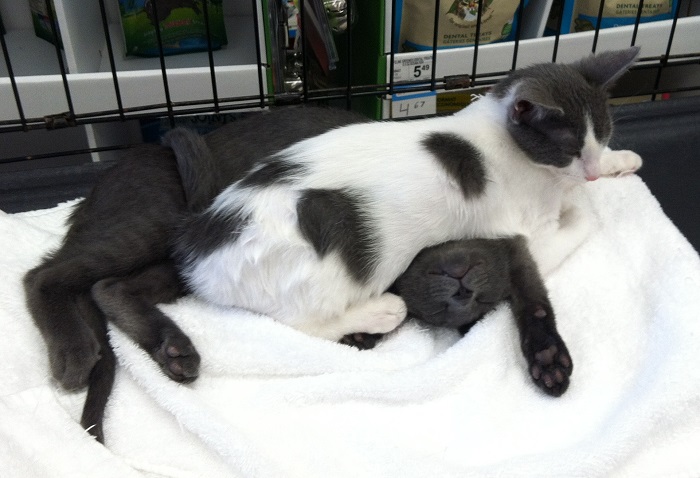 Using my sis as a pillow