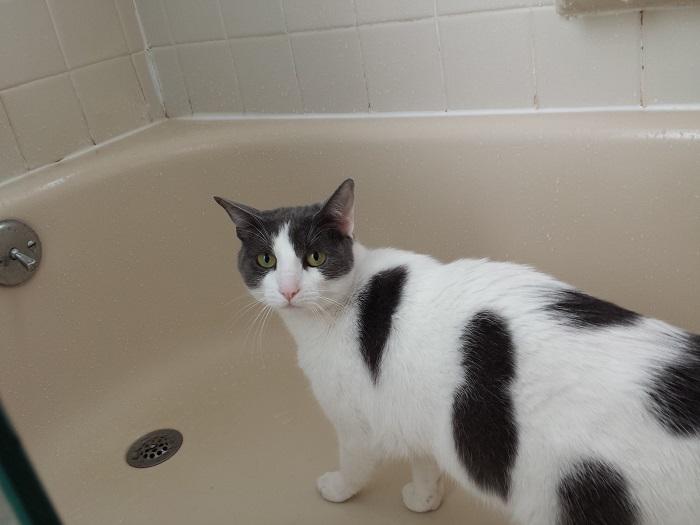 Where does that water go?