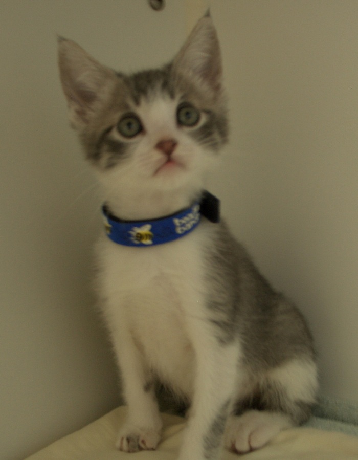 Me at the shelter