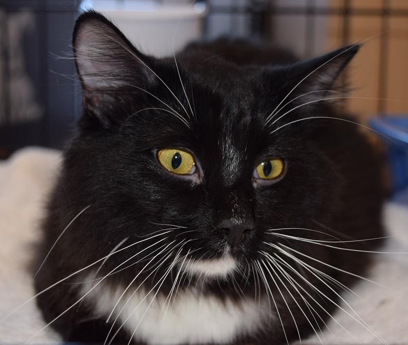 Showing off my whiskers!