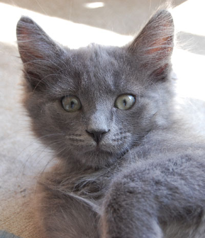 baby pic