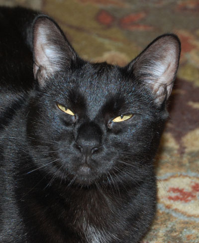 Enough with the flash already!