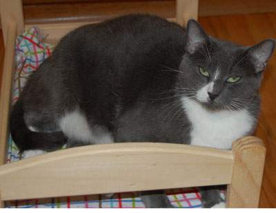 Me on my Ikea doll bed