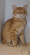 Me at the shelter. Stop that flash!