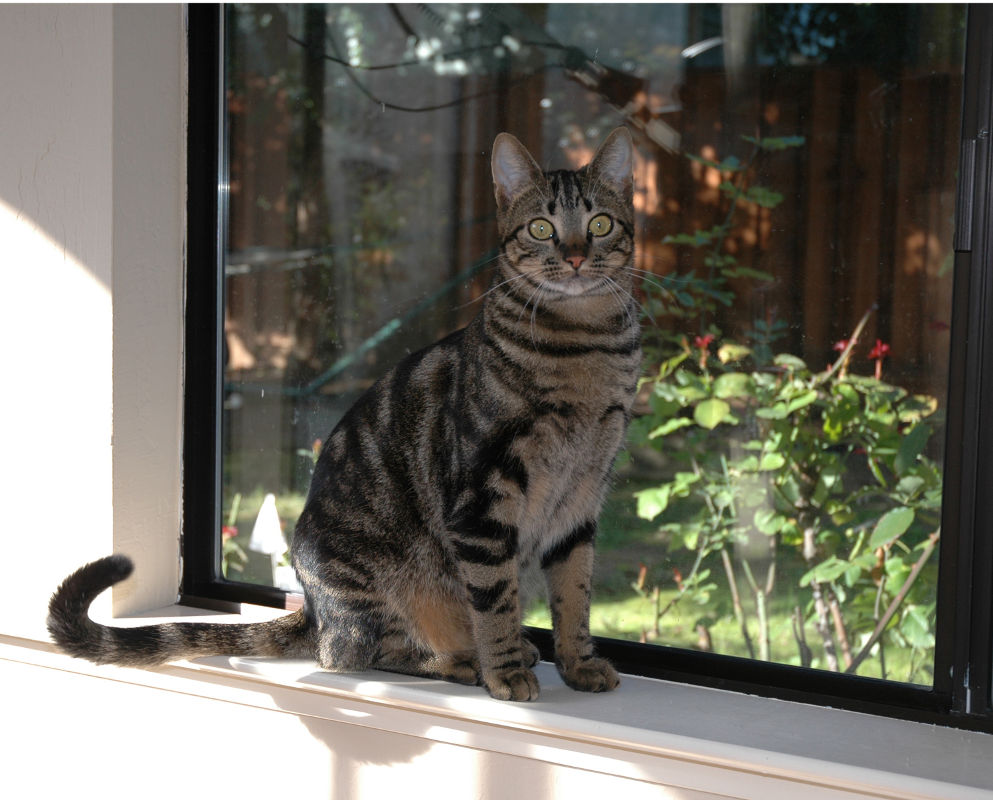 Before I was first adopted.