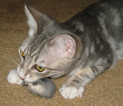 when i was a baby