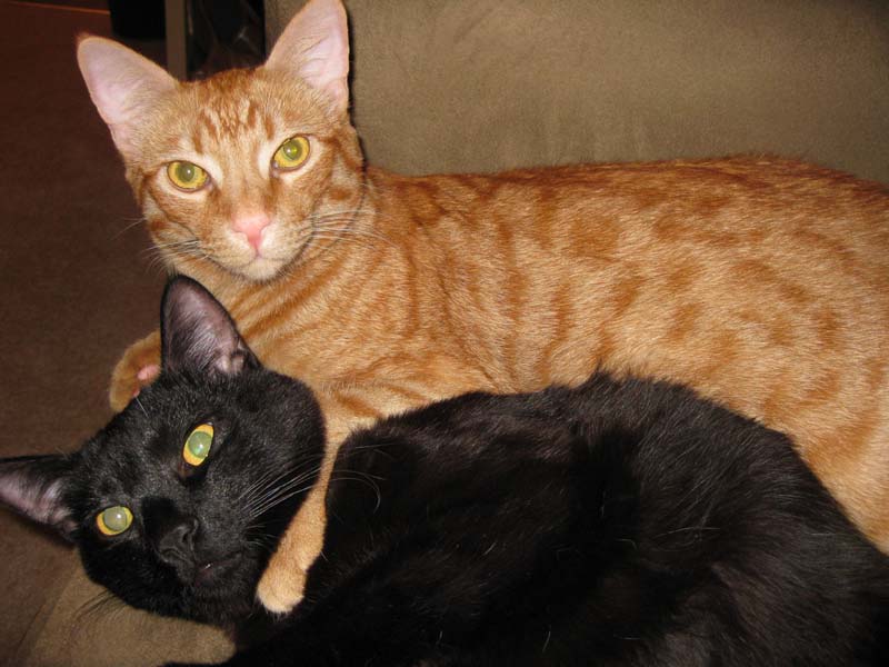 We're ready for our close-up Mr. DeMille!