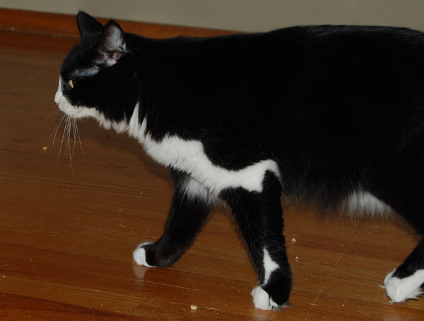 check out my white toes!